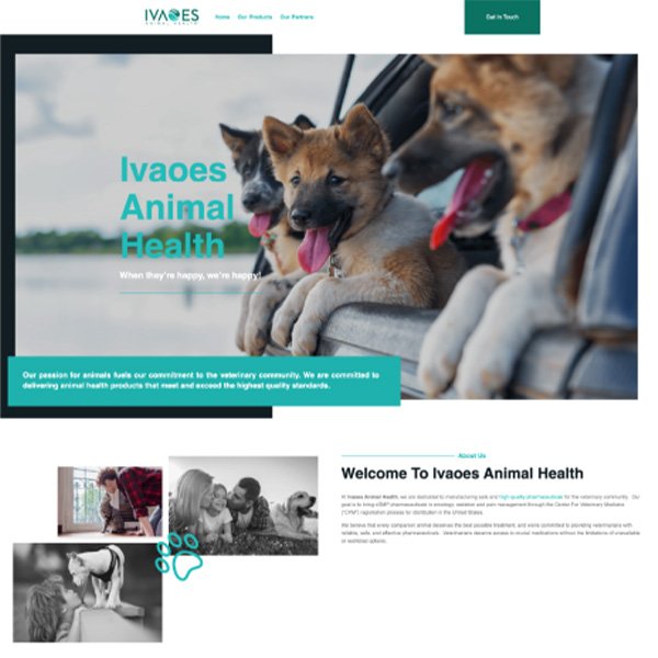 Marketing & Event Services 8 website 1 - ivaoes